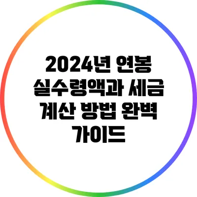 2024년 연봉 실수령액과 세금 계산 방법 완벽 가이드