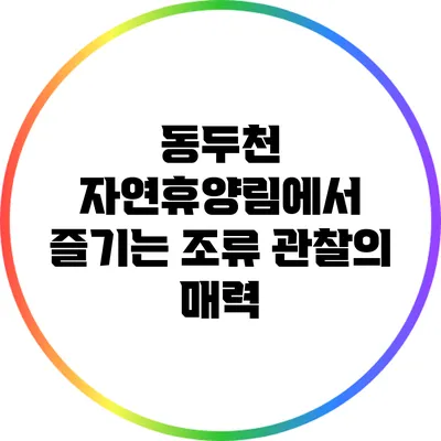 동두천 자연휴양림에서 즐기는 조류 관찰의 매력
