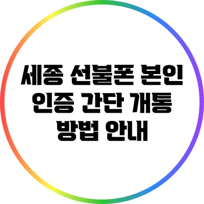 세종 선불폰 본인 인증 간단 개통 방법 안내