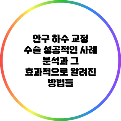 안구 하수 교정 수술: 성공적인 사례 분석과 그 효과적으로 알려진 방법들
