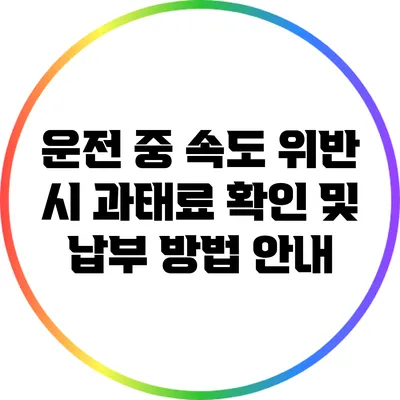 운전 중 속도 위반 시 과태료 확인 및 납부 방법 안내