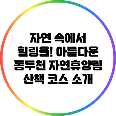 자연 속에서 힐링을! 아름다운 동두천 자연휴양림 산책 코스 소개