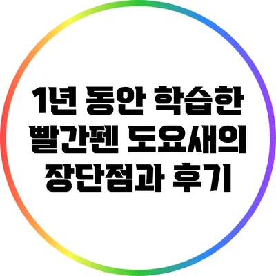 1년 동안 학습한 빨간펜 도요새의 장단점과 후기