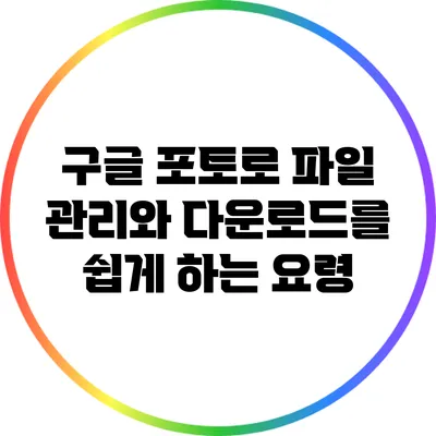 구글 포토로 파일 관리와 다운로드를 쉽게 하는 요령