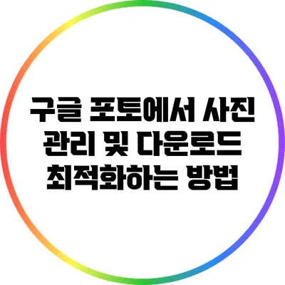 구글 포토에서 사진 관리 및 다운로드 최적화하는 방법