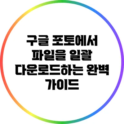 구글 포토에서 파일을 일괄 다운로드하는 완벽 가이드