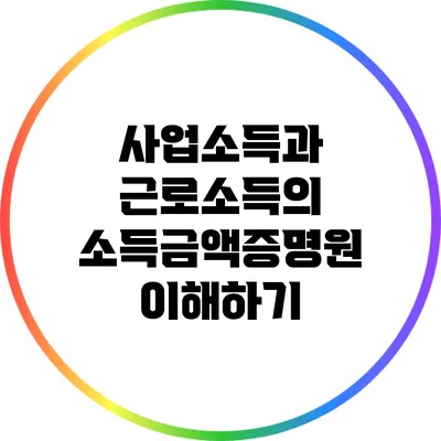 사업소득과 근로소득의 소득금액증명원 이해하기