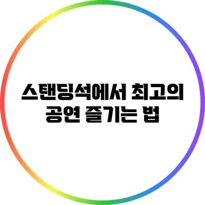 스탠딩석에서 최고의 공연 즐기는 법