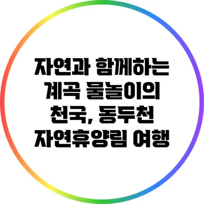 자연과 함께하는 계곡 물놀이의 천국, 동두천 자연휴양림 여행