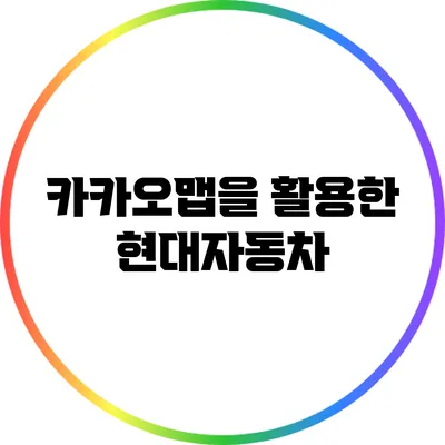 카카오맵을 활용한 현대자동차