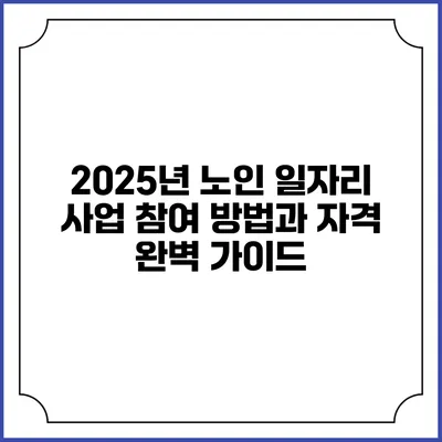 2025년 노인 일자리 사업 참여 방법과 자격 완벽 가이드