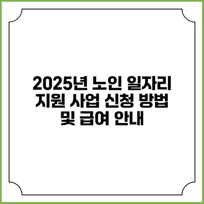 2025년 노인 일자리 지원 사업 신청 방법 및 급여 안내