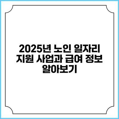2025년 노인 일자리 지원 사업과 급여 정보 알아보기