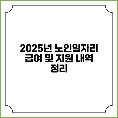 2025년 노인일자리 급여 및 지원 내역 정리