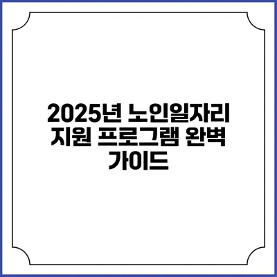 2025년 노인일자리 지원 프로그램 완벽 가이드