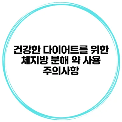 건강한 다이어트를 위한 체지방 분해 약 사용 주의사항