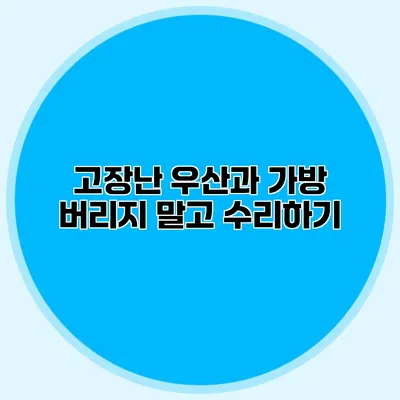 고장난 우산과 가방: 버리지 말고 수리하기