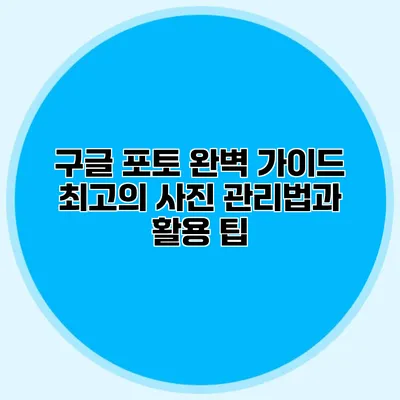 구글 포토 완벽 가이드: 최고의 사진 관리법과 활용 팁