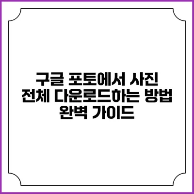 구글 포토에서 사진 전체 다운로드하는 방법 완벽 가이드