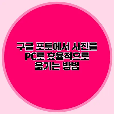 구글 포토에서 사진을 PC로 효율적으로 옮기는 방법