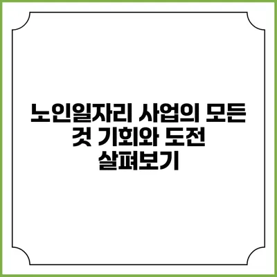 노인일자리 사업의 모든 것: 기회와 도전 살펴보기