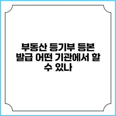부동산 등기부 등본 발급: 어떤 기관에서 할 수 있나?