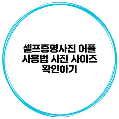 셀프증명사진 어플 사용법 사진 사이즈 확인하기