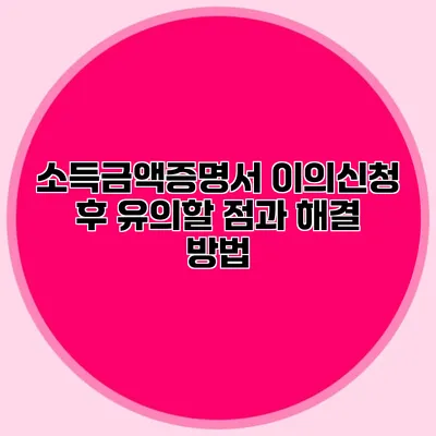 소득금액증명서 이의신청 후 유의할 점과 해결 방법