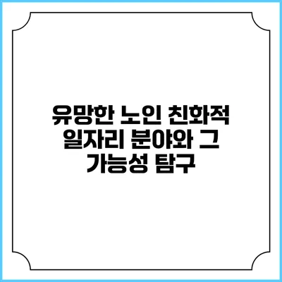 유망한 노인 친화적 일자리 분야와 그 가능성 탐구