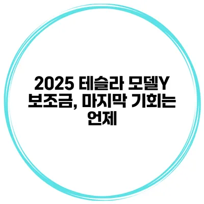 2025 테슬라 모델Y 보조금, 마지막 기회는 언제?