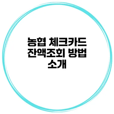 농협 체크카드 잔액조회 방법 소개