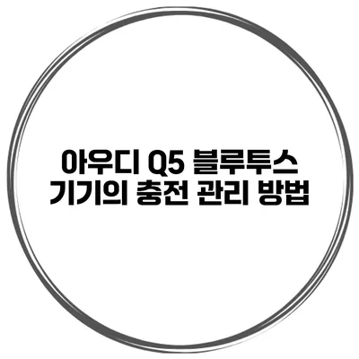 아우디 Q5 블루투스 기기의 충전 관리 방법