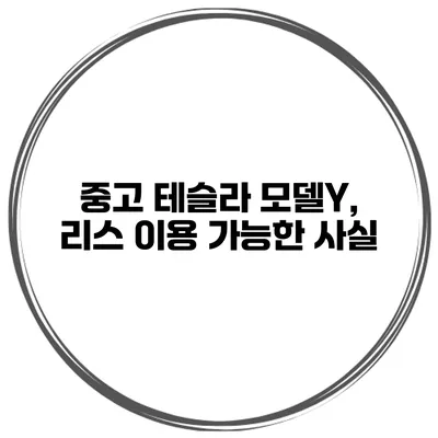 중고 테슬라 모델Y, 리스 이용 가능한 사실