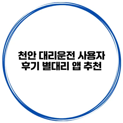 천안 대리운전 사용자 후기 별대리 앱 추천